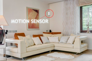 motion-sensor.fw_-1-300x201 motion sensor.fw