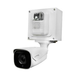dmvs2-300x298 24/7 Video Monitoring